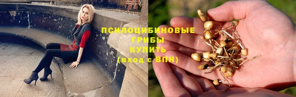 а пвп мука Алексеевка