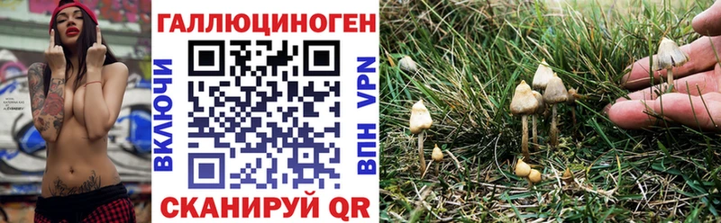Псилоцибиновые грибы GOLDEN TEACHER Малоархангельск